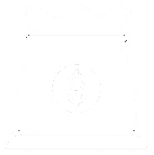 Professional Financial Consultancy